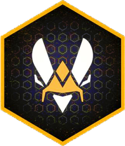 Logotipo do time Vitality de CS2 em um formato hexagonal, com fundo preto e padrão de hexágonos. O design apresenta uma cabeça estilizada de uma abelha, em branco e laranja, com um detalhe pentagonal em laranja no centro.
